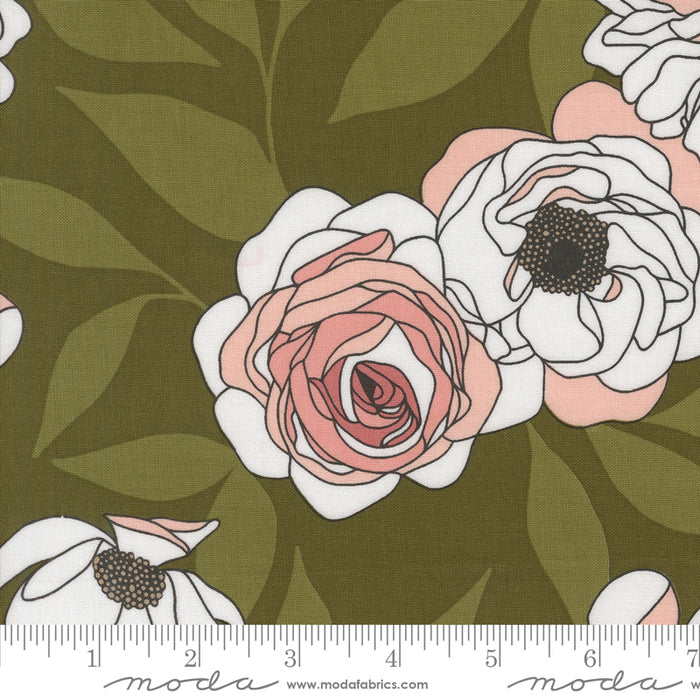 Botany - Cabbage Rose Monstera