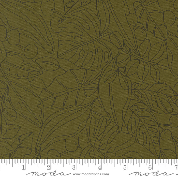 Botany - Greenery Tonal Monstera