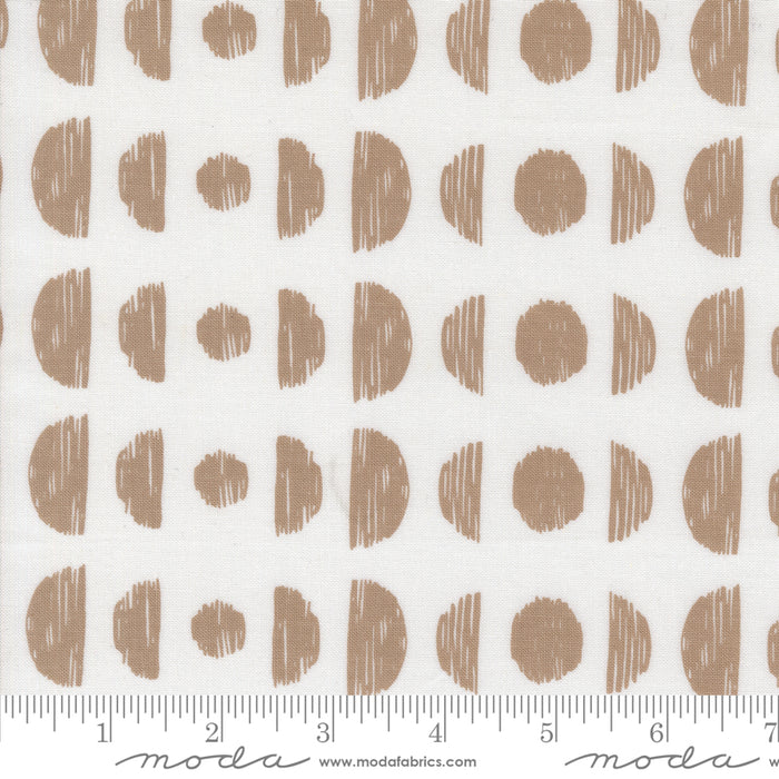 Botany - Phases Paper Earth