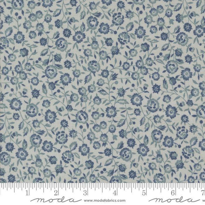 Sacre Bleu - Renoncule Ciel Blue