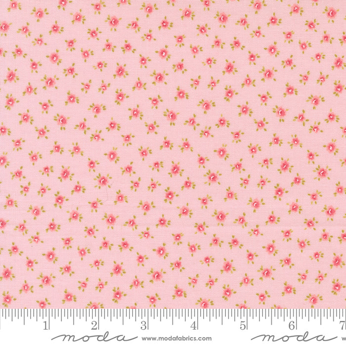Memory Lane - Little Posies Blush