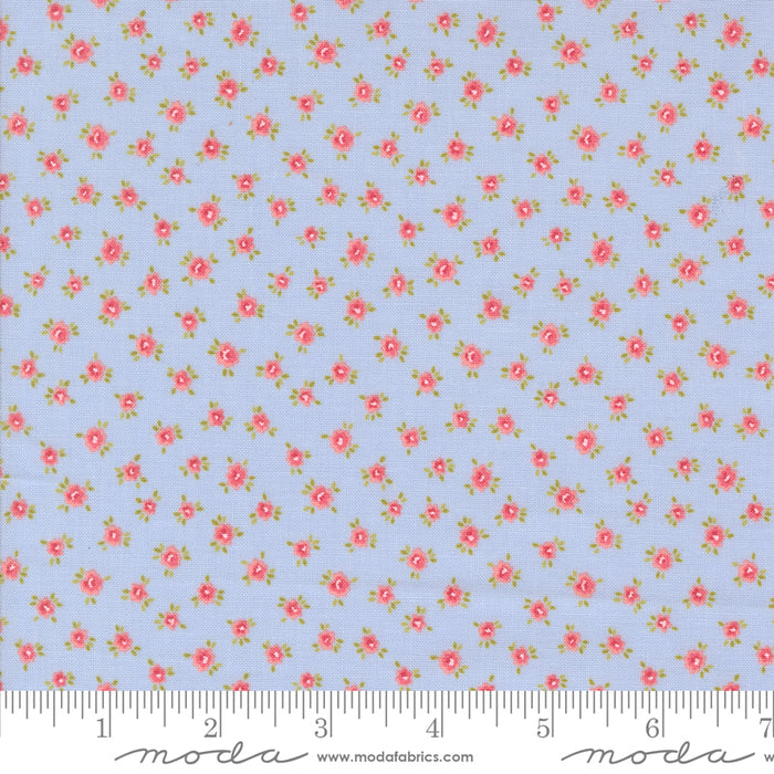 Memory Lane - Little Posies Sky