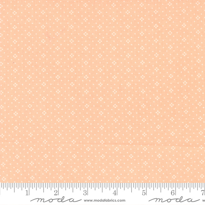 Eyelet - Cantaloupe