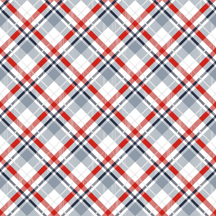 Joyful Snowmen - Bias Plaid Multi
