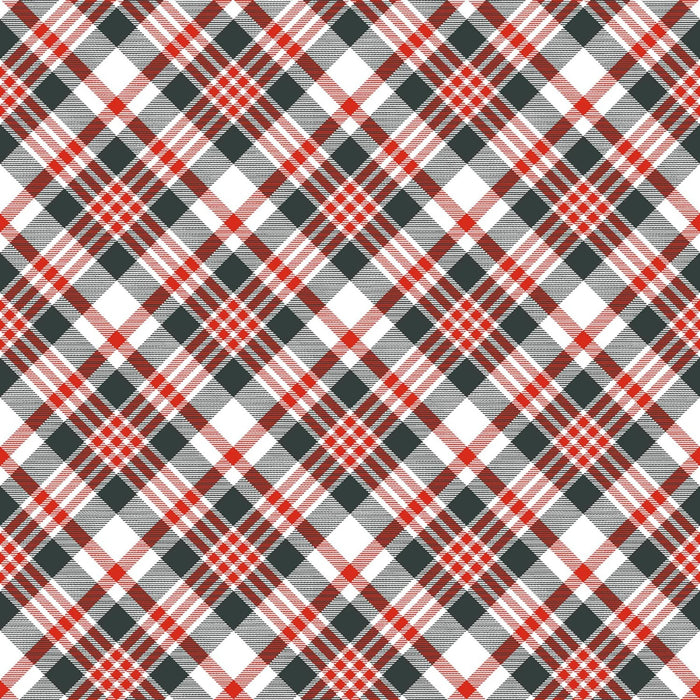 Pinecone Ridge Lodge - Bias Plaid Multi
