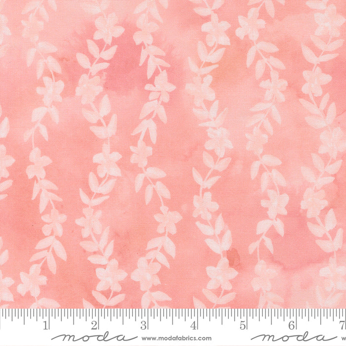 Sweet Cecily - Daphne Stripes Rose