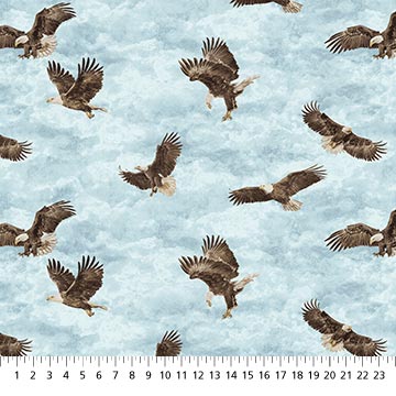 Stonehenge Eagle Pass - Flying Eagles Blue