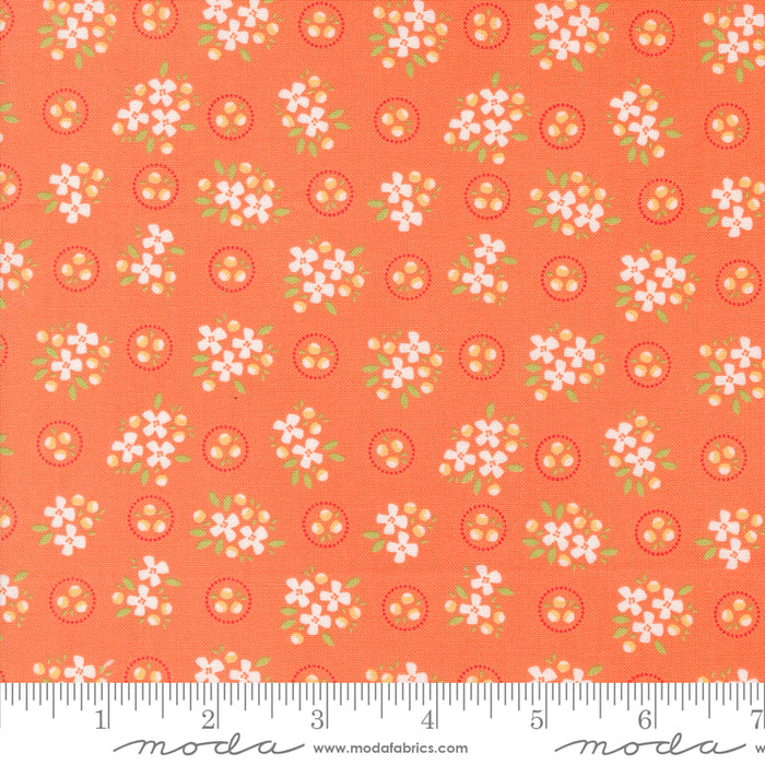 Cali & Co. - Ring Around Posie Melon