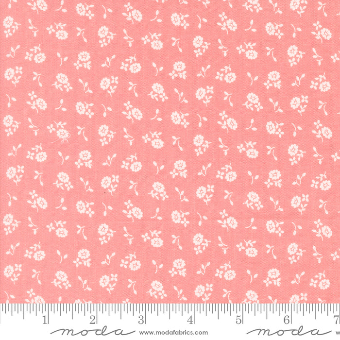 Cali & Co. - Cameo Pink