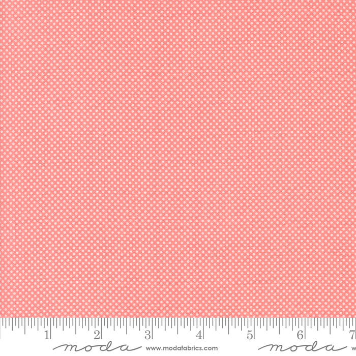 Coriander Colors - Tiny Dot Pink