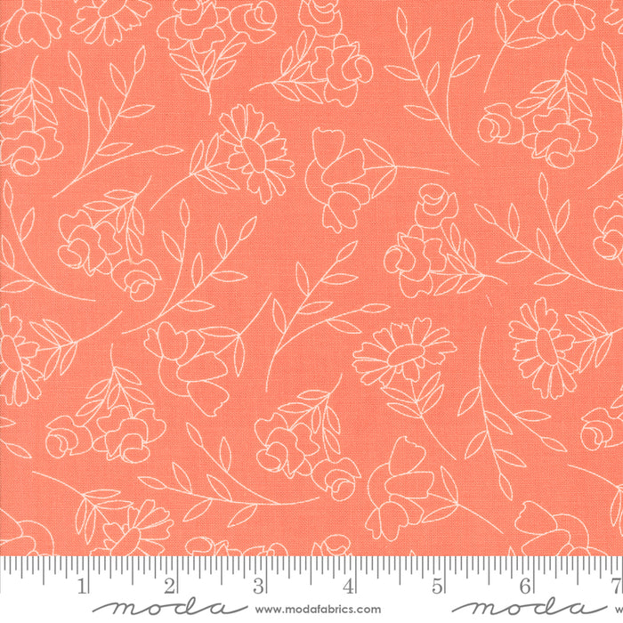 Abloom - Spring Sketch Coral