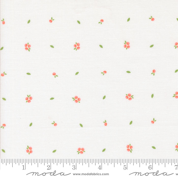 Abloom - Little Sprout Cloud