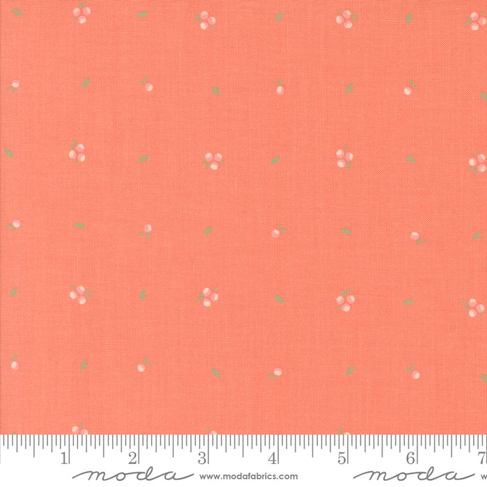 Abloom - Little Sprout Coral