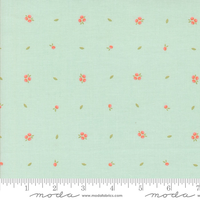 Abloom - Little Sprout Robin's Egg