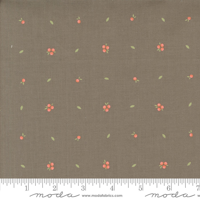 Abloom - Little Sprout Slate
