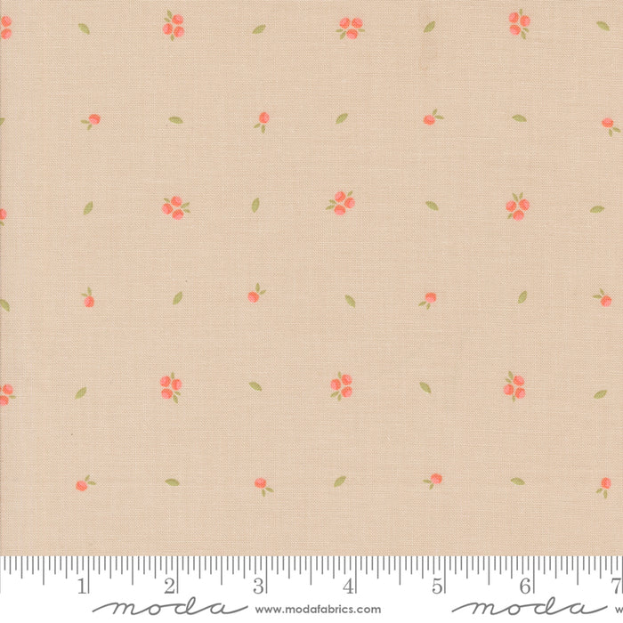 Abloom - Little Sprout Stone