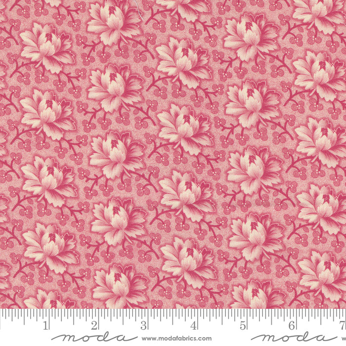 Goodnight Irene - Tea Rose Carnation