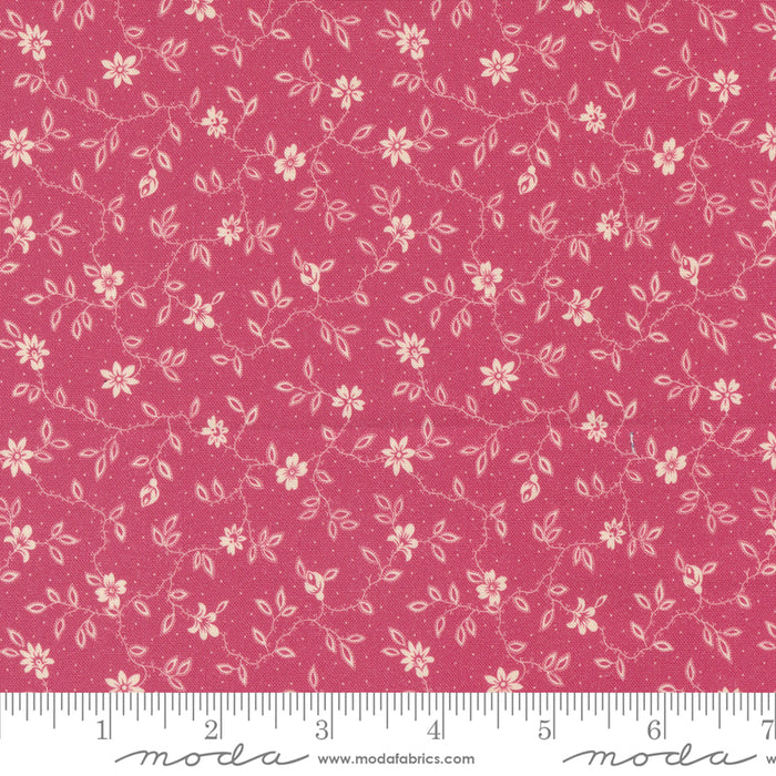Goodnight Irene - Blossom Carnation