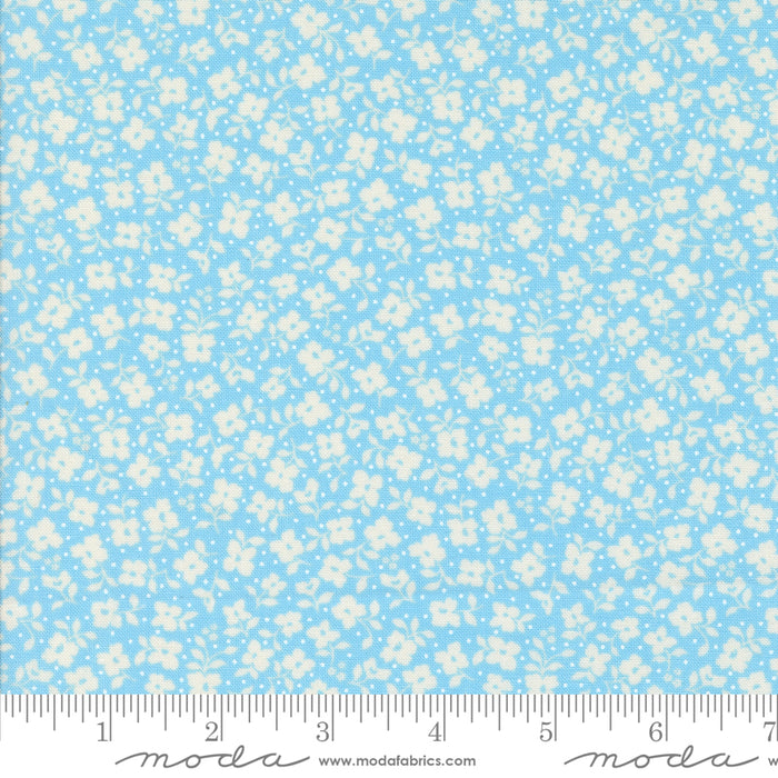Dainty Meadow - Petals Bluebell