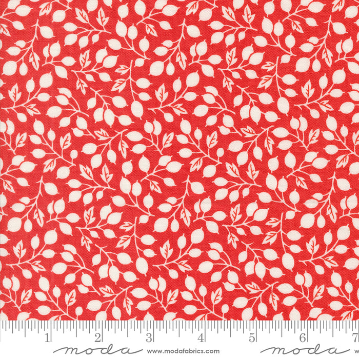Portofino - Olive Branch Pomegranate