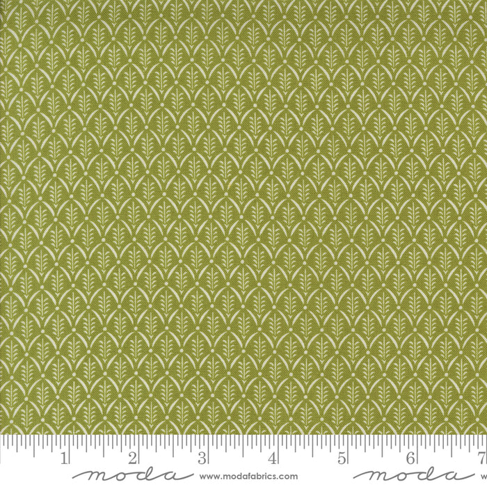 Buon Natale - Evergreen Blenders Pine