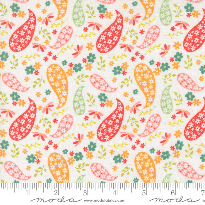 Raspberry Summer - Paisley Cloud