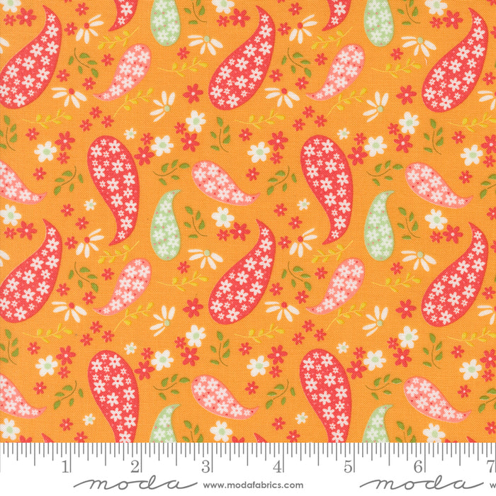 Raspberry Summer - Paisley Apricot