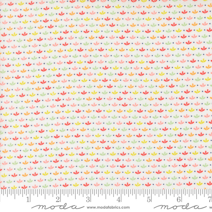 Raspberry Summer - Sprout Cloud