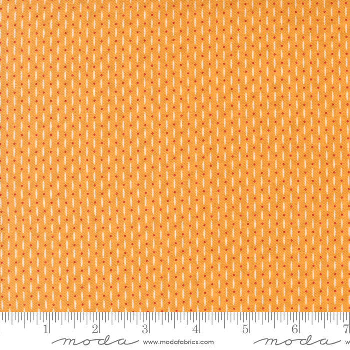 Raspberry Summer - Beaded Blenders Apricot