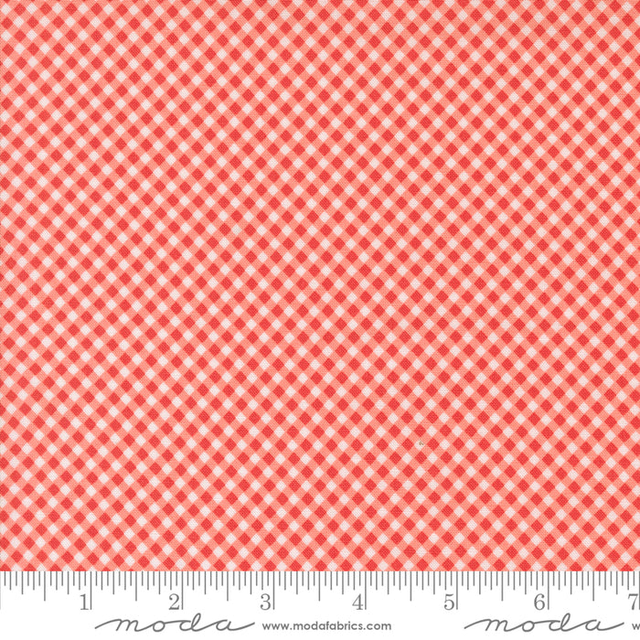 Raspberry Summer - Gingham Checks Carnation