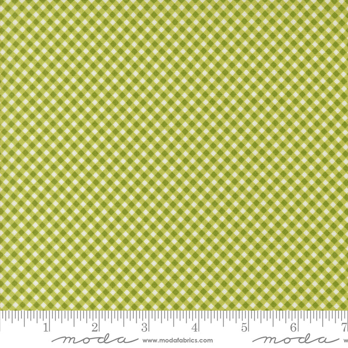 Raspberry Summer - Gingham Checks Lime