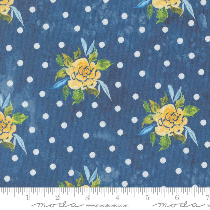 Sunshine & Blue Skies - Rosey Dots Lake