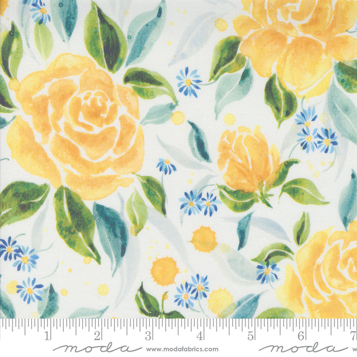 Sunshine & Blue Skies - Rose Upon Rows Cloud