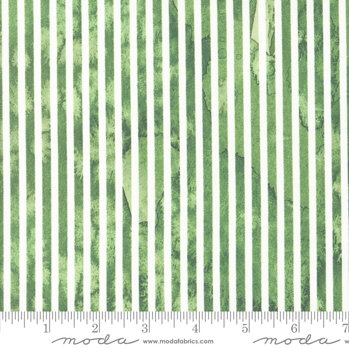 Sunshine & Blue Skies - Line Dance Grass