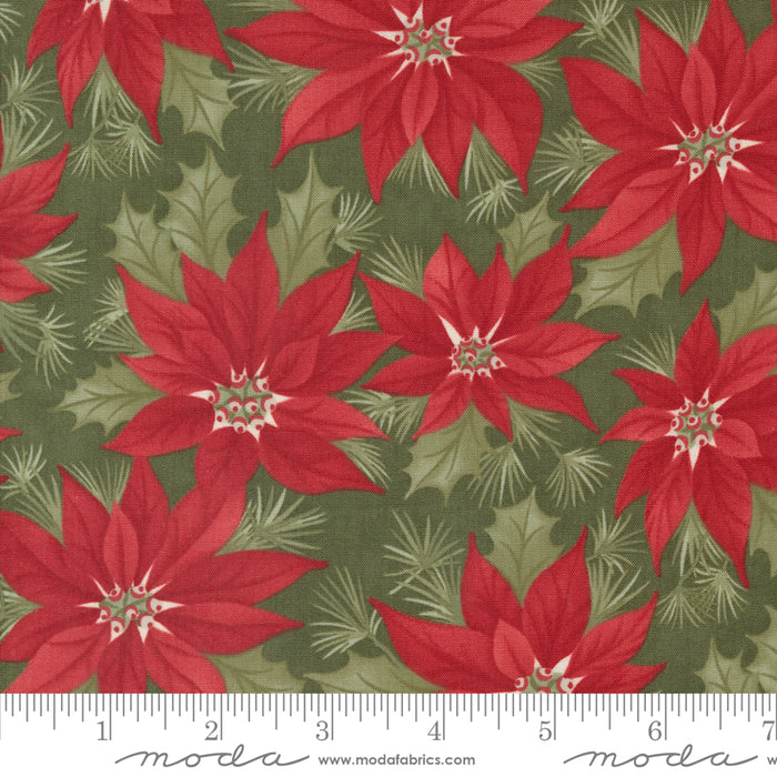 A Christmas Carol - Promising Poinsettia Holly