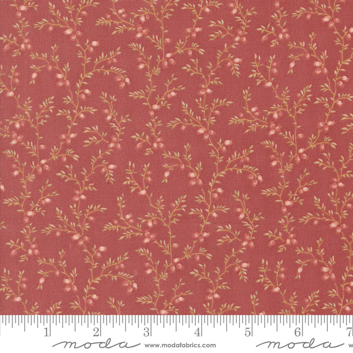 Sandalwood - Liana Rosewood