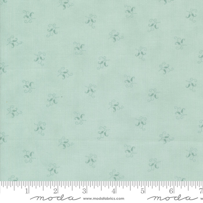 Sandalwood - Felicity Eucalyptus