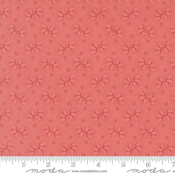 Collections For A Cause Unity - Textural Rose