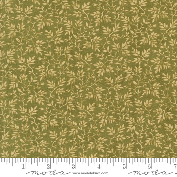 Collections For A Cause Unity - Wandering Leaves Fern
