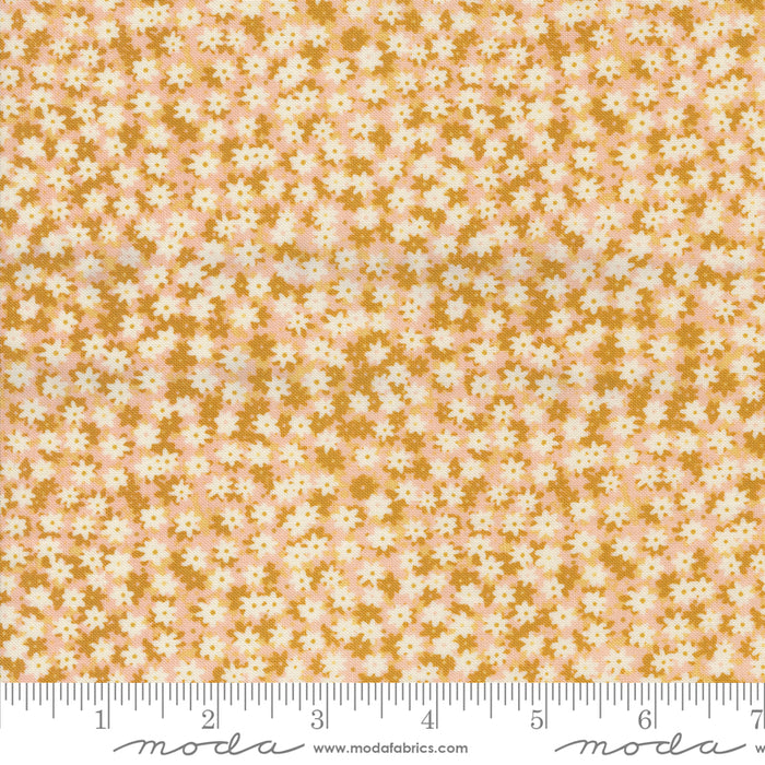 Bee Garden - Floral Phase Beeswax