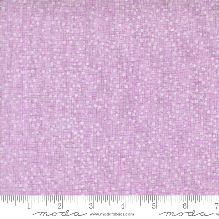 Superbloom - Dotty Thatched Freesia