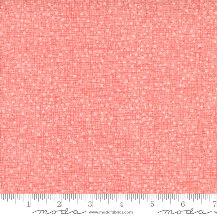 Superbloom - Dotty Thatched Carnation