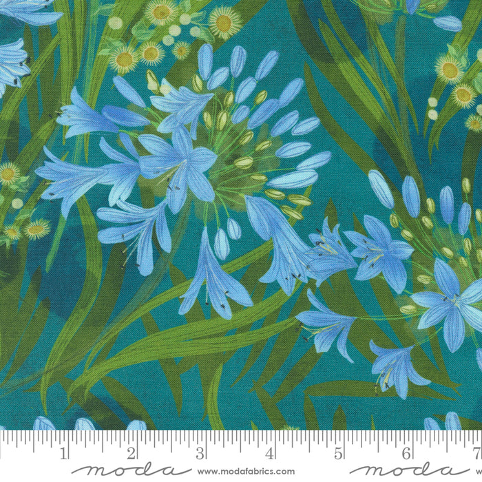 Serena Shores - Agapanthus Lagoon