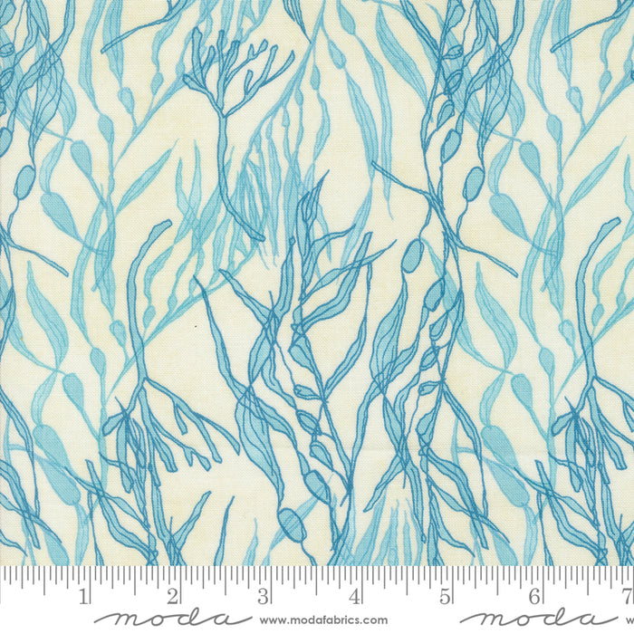 Serena Shores - Seaweeds Cloud