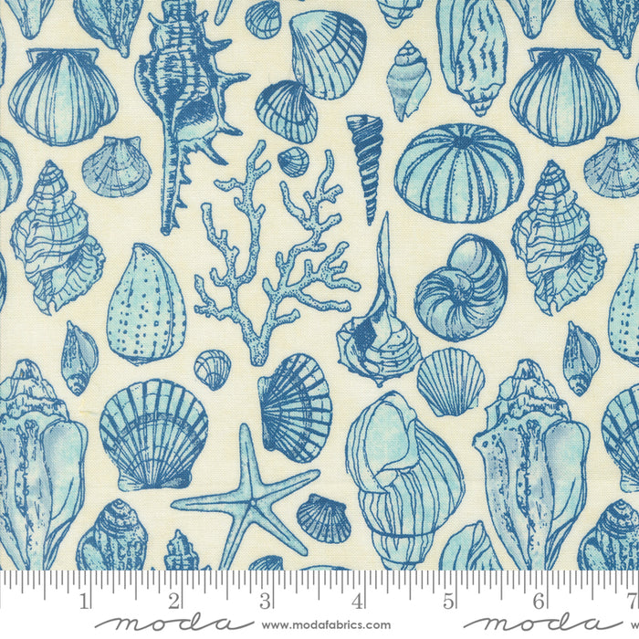 Serena Shores - Sketchy Shells Cloud