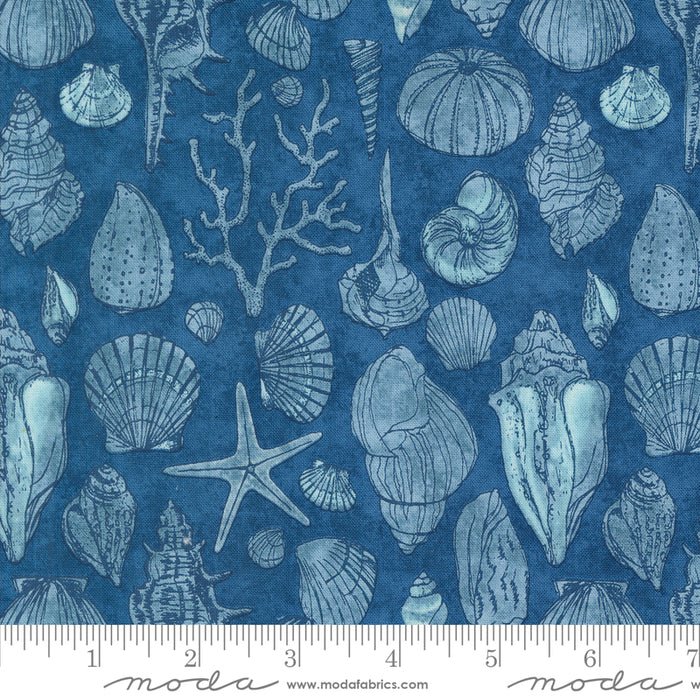 Serena Shores - Sketchy Shells Coastal