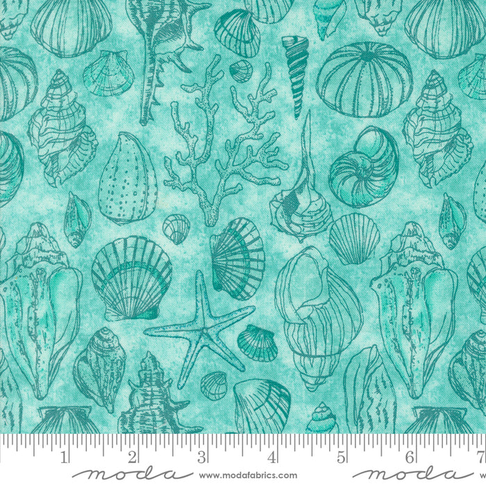 Serena Shores - Sketchy Shells Aqua