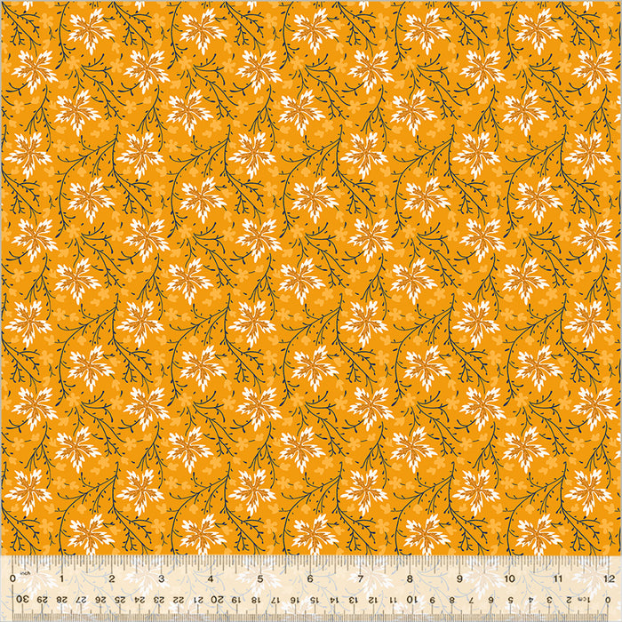 Circa: Sharp Cheddar - Bloom Burst Cheddar