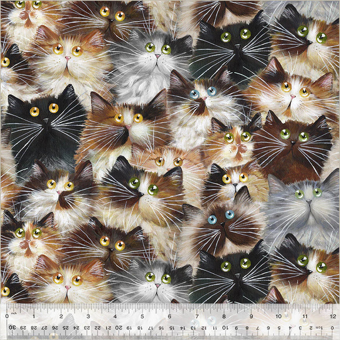 Cat Pack 108" Wide - Multi
