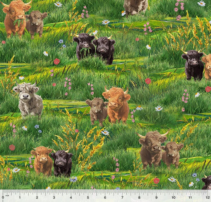 Highland Hooves - Highland Cows Green